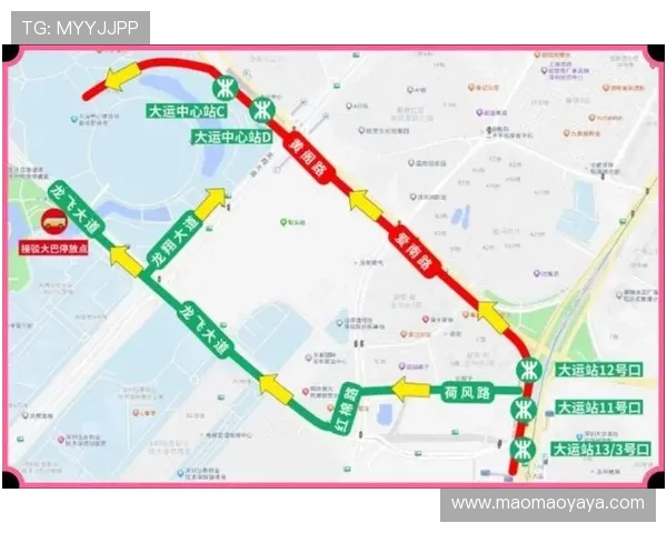 体育旅游攻略中的观赛配套交通建议